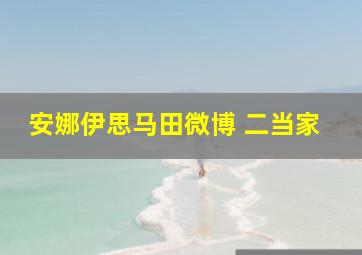 安娜伊思马田微博 二当家